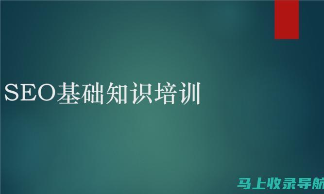 SEO实战教程：掌握搜索引擎优化技巧