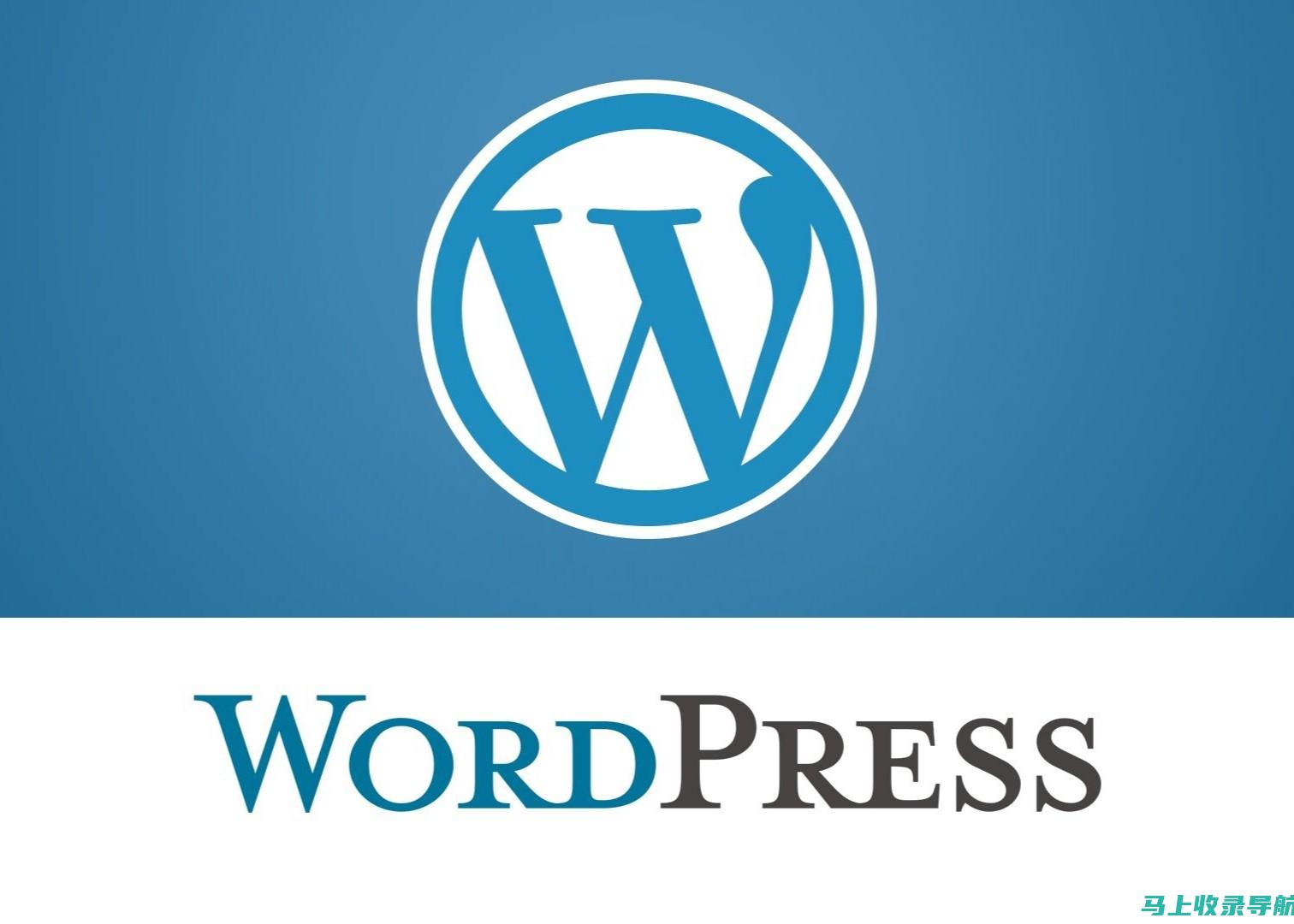 WordPress SEO工具大比拼：哪个更适合你的网站需求？